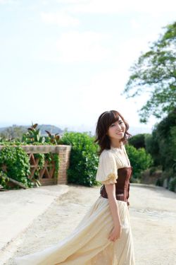 藏海花免费观看